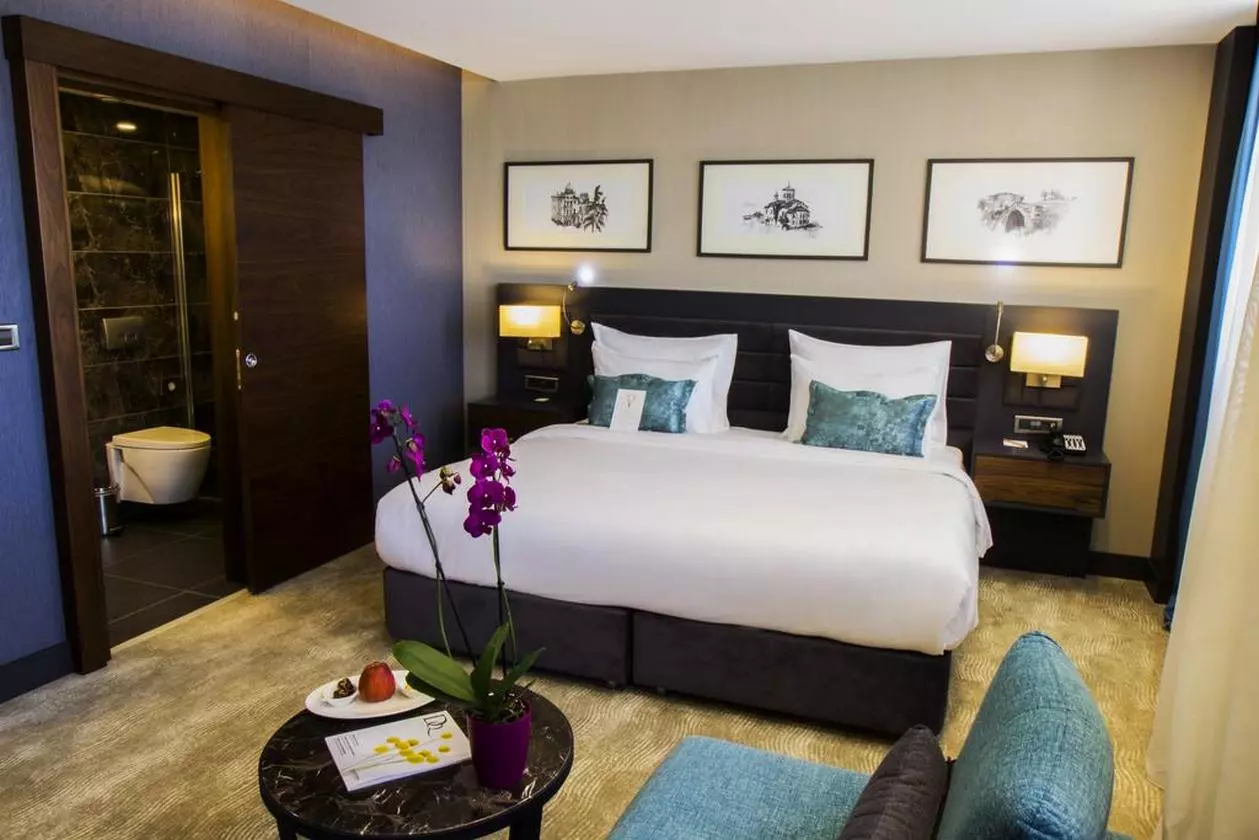 DEDEMANPARK_SHABAVIZPARVAZ (3).jpg